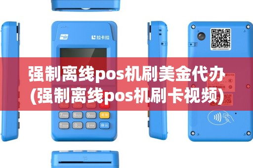 强制离线pos机刷美金代办(强制离线pos机刷卡视频)