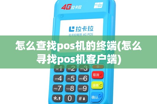 怎么查找pos机的终端(怎么寻找pos机客户端)