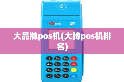 大品牌pos机(大牌pos机排名)