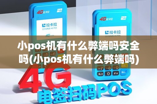 小pos机有什么弊端吗安全吗(小pos机有什么弊端吗)