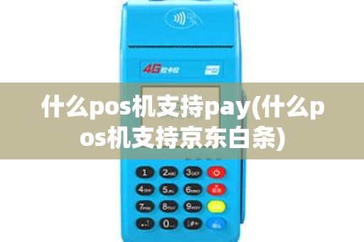 什么pos机支持pay(什么pos机支持京东白条)
