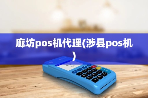 廊坊pos机代理(涉县pos机)