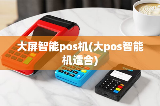 大屏智能pos机(大pos智能机适合)