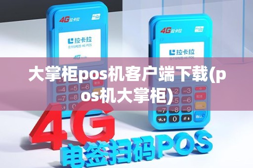 大掌柜pos机客户端下载(pos机大掌柜)
