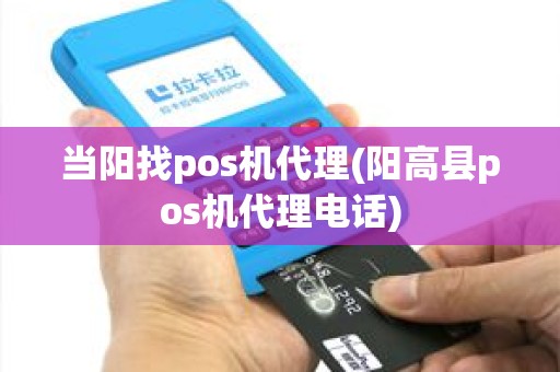 当阳找pos机代理(阳高县pos机代理电话)