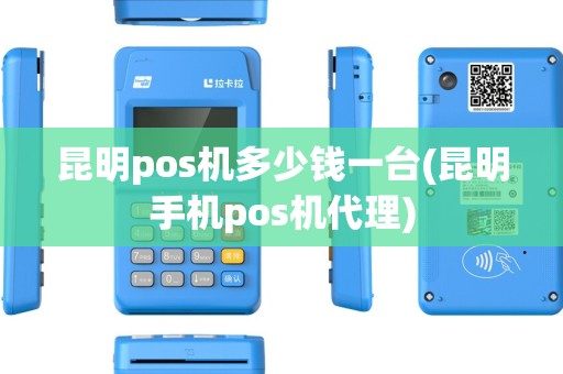 昆明pos机多少钱一台(昆明手机pos机代理)