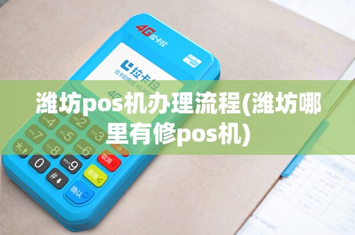 潍坊pos机办理流程(潍坊哪里有修pos机)