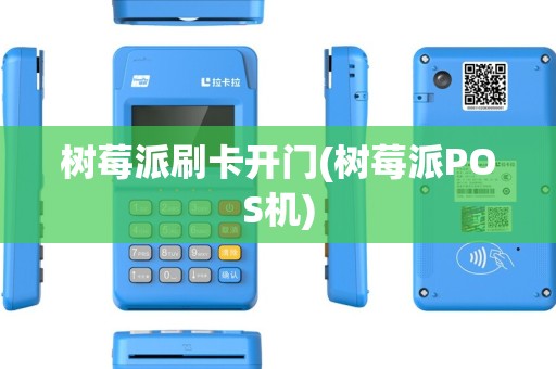 树莓派刷卡开门(树莓派POS机)