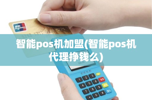 智能pos机加盟(智能pos机代理挣钱么)