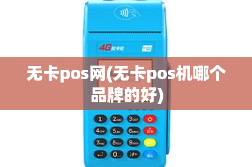 无卡pos网(无卡pos机哪个品牌的好)