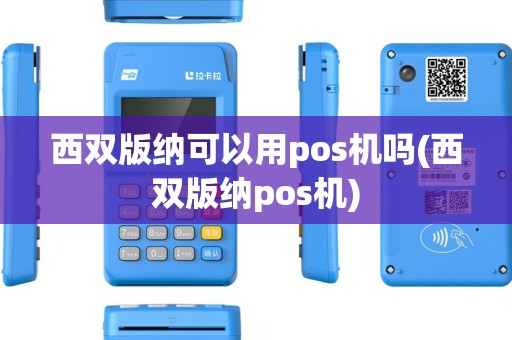 西双版纳可以用pos机吗(西双版纳pos机)