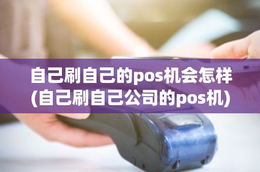 自己刷自己的pos机会怎样(自己刷自己公司的pos机)