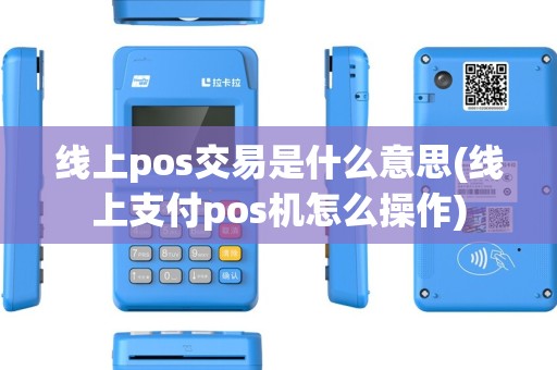 线上pos交易是什么意思(线上支付pos机怎么操作)