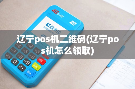 辽宁pos机二维码(辽宁pos机怎么领取)