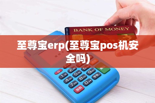 至尊宝erp(至尊宝pos机安全吗)