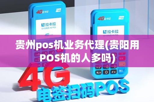 贵州pos机业务代理(贵阳用POS机的人多吗)
