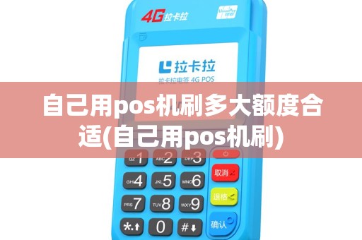 自己用pos机刷多大额度合适(自己用pos机刷) 自己用pos机刷多大额度合适(自己用pos机刷)