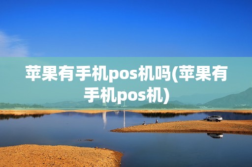 苹果有手机pos机吗(苹果有手机pos机)