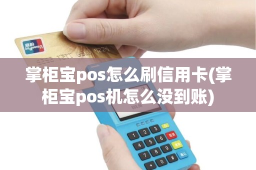 掌柜宝pos怎么刷信用卡(掌柜宝pos机怎么没到账) 掌柜宝pos怎么刷信用卡(掌柜宝pos机怎么没到账)