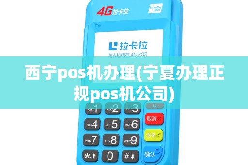 西宁pos机办理(宁夏办理正规pos机公司)