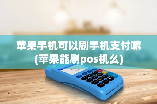 苹果手机可以刷手机支付嘛(苹果能刷pos机么)