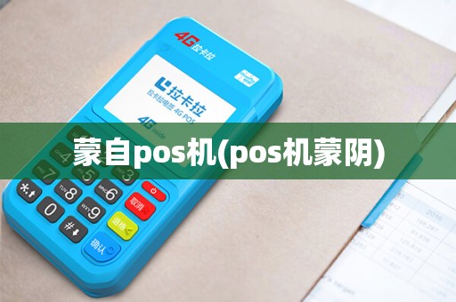 蒙自pos机(pos机蒙阴)