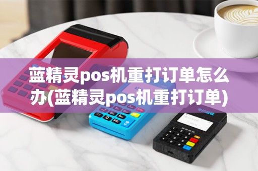 蓝精灵pos机重打订单怎么办(蓝精灵pos机重打订单)