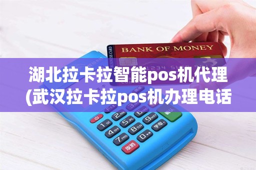湖北拉卡拉智能pos机代理(武汉拉卡拉pos机办理电话)