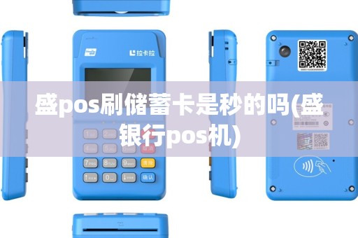 盛pos刷储蓄卡是秒的吗(盛银行pos机)