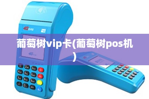 葡萄树vip卡(葡萄树pos机)
