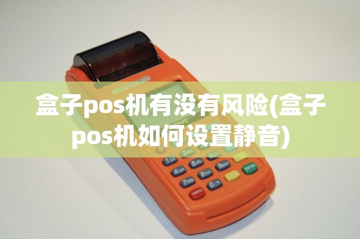 盒子pos机有没有风险(盒子pos机如何设置静音)