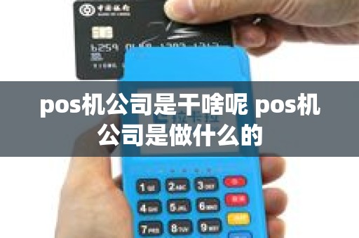 pos机公司是干啥呢 pos机公司是做什么的
