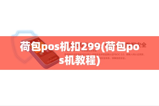 荷包pos机扣299(荷包pos机教程)