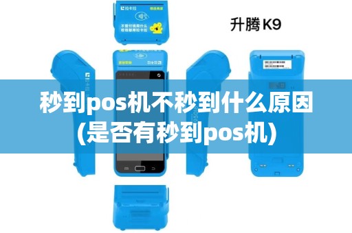 秒到pos机不秒到什么原因(是否有秒到pos机)