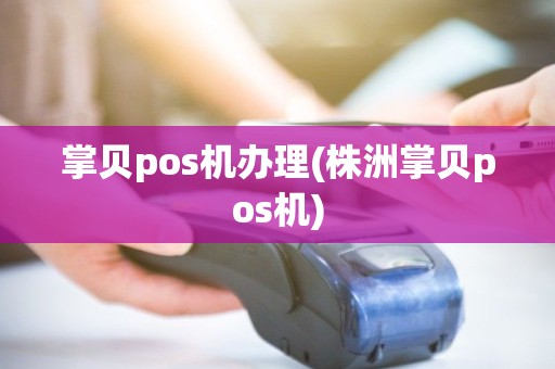 掌贝pos机办理(株洲掌贝pos机)