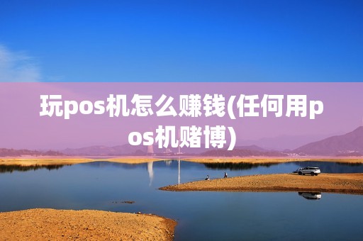 玩pos机怎么赚钱(任何用pos机赌博)