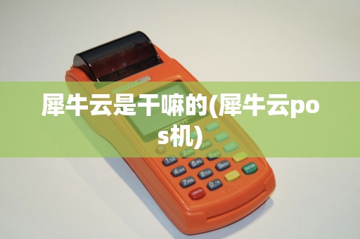 犀牛云是干嘛的(犀牛云pos机)