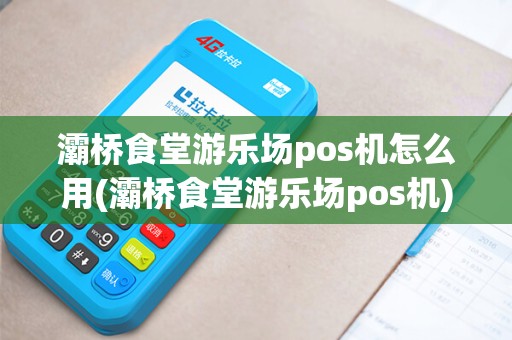 灞桥食堂游乐场pos机怎么用(灞桥食堂游乐场pos机)