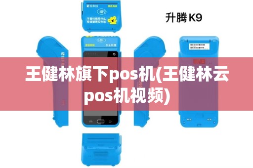 王健林旗下pos机(王健林云pos机视频)
