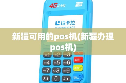新疆可用的pos机(新疆办理pos机)