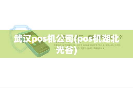 武汉pos机公司(pos机湖北光谷)