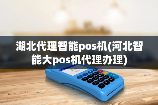 湖北代理智能pos机(河北智能大pos机代理办理)