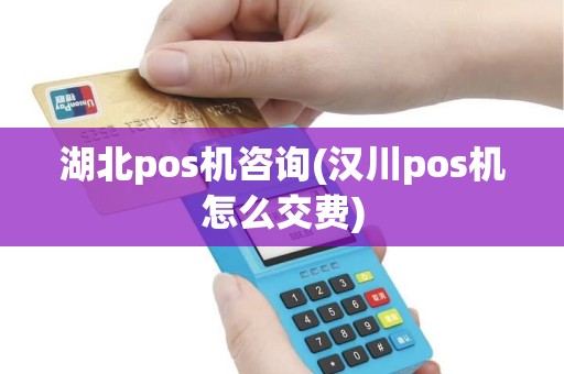 湖北pos机咨询(汉川pos机怎么交费) 湖北pos机咨询(汉川pos机怎么交费)