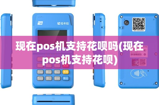 现在pos机支持花呗吗(现在pos机支持花呗)