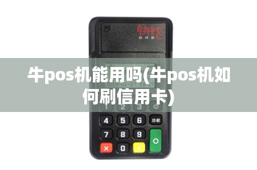 牛pos机能用吗(牛pos机如何刷信用卡)