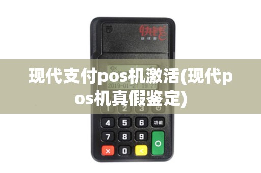 现代支付pos机激活(现代pos机真假鉴定)