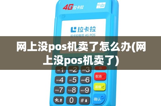 网上没pos机卖了怎么办(网上没pos机卖了)