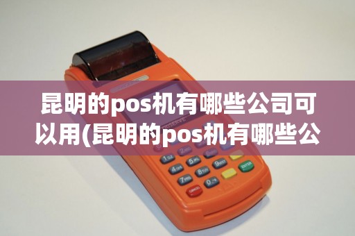 昆明的pos机有哪些公司可以用(昆明的pos机有哪些公司)