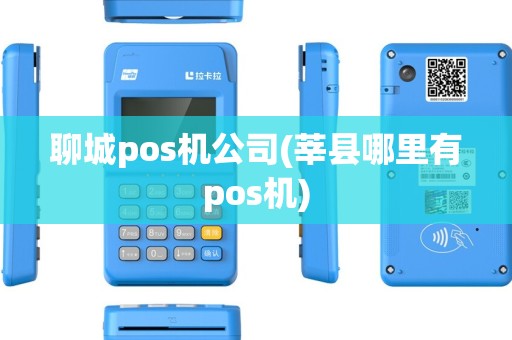 聊城pos机公司(莘县哪里有pos机)