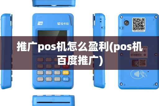 推广pos机怎么盈利(pos机百度推广)
